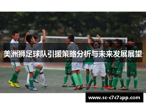 美洲狮足球队引援策略分析与未来发展展望